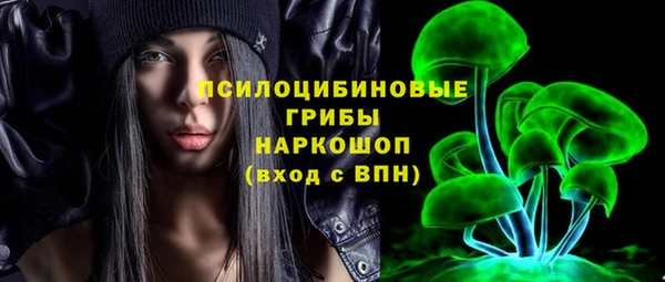 бошки Алзамай